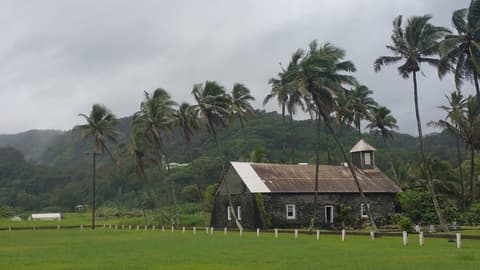 Ke’anae Arboretum